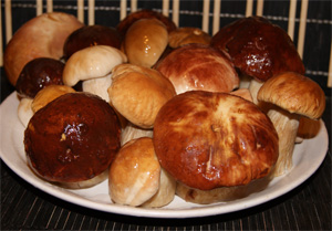 Рецепт пошагового приготовления жареных белых грибов