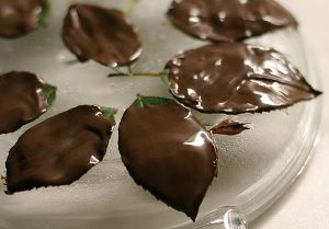 Шоколадные листочки для урашения