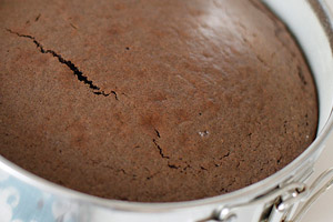 Черемуховый торт с шоколадной начинкой  